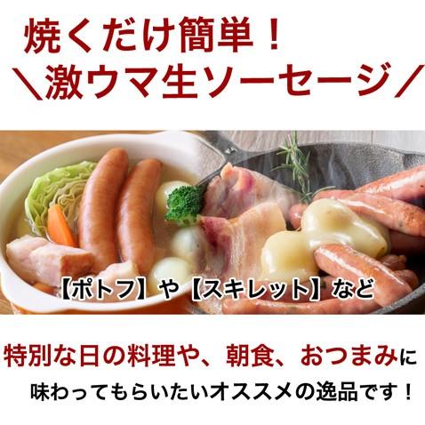 沖縄 アグー豚 あぐー豚 生 ソーセージ 無添加 チョリソー 4本入 | あぐ〜豚 | 04