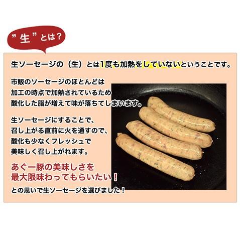沖縄 アグー豚 あぐー豚 生 ソーセージ 無添加 チョリソー 4本入 | あぐ〜豚 | 05