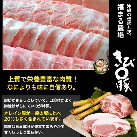 沖縄 きびまる豚 冷凍 ソーセージ バーベキュー 肉 BBQ (チョリソー/20g×6本入) | あぐ〜豚 | 05
