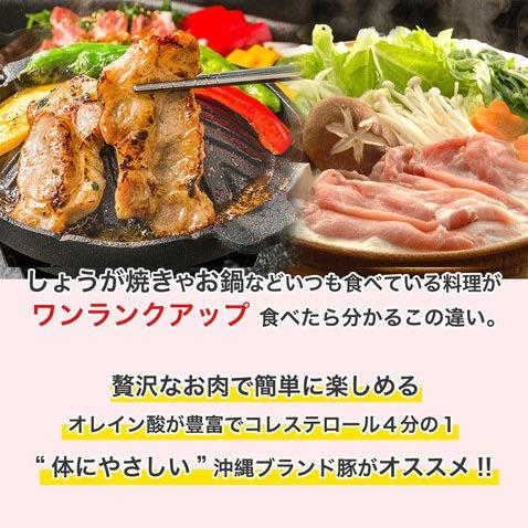 父の日キビまる豚 グルメ ギフト 沖縄 しゃぶしゃぶ 豚肉 沖縄ブランド豚 すぐりむん 2人前 500g 337 沖縄厳選グルメ専門店 山将 通販 Yahoo ショッピング