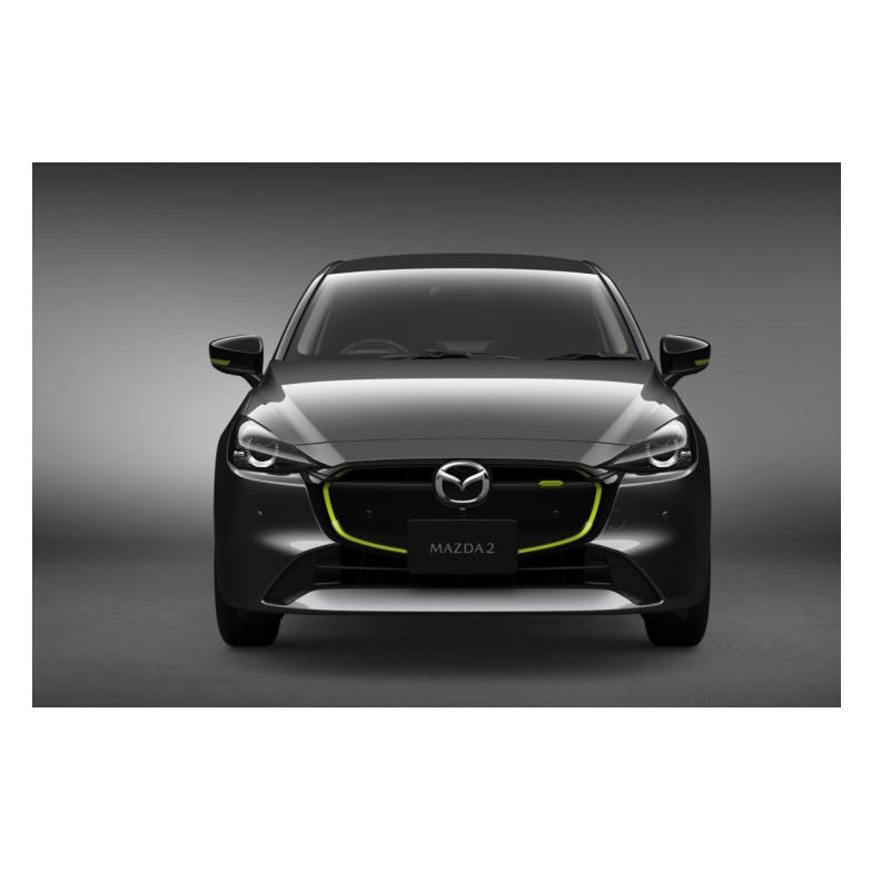 FE0 カミラ　プロモ 希少品！シチズン プロマスター 「ゴジラ」限定モデル 確保しま