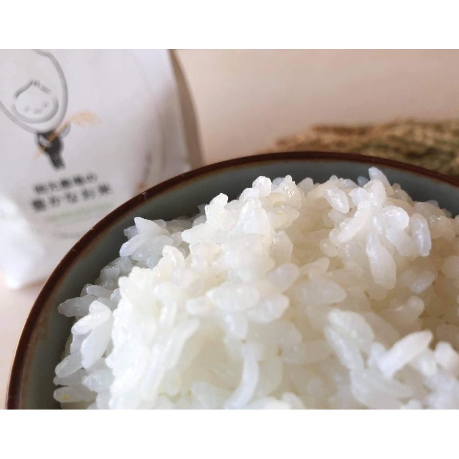 令和6年産 コシヒカリ お米 10kg×2袋 玄米 精白米 選べる 一等 令和6年産 コシヒカリ お米 10kg×2袋 玄米 精白米 選べる 一等