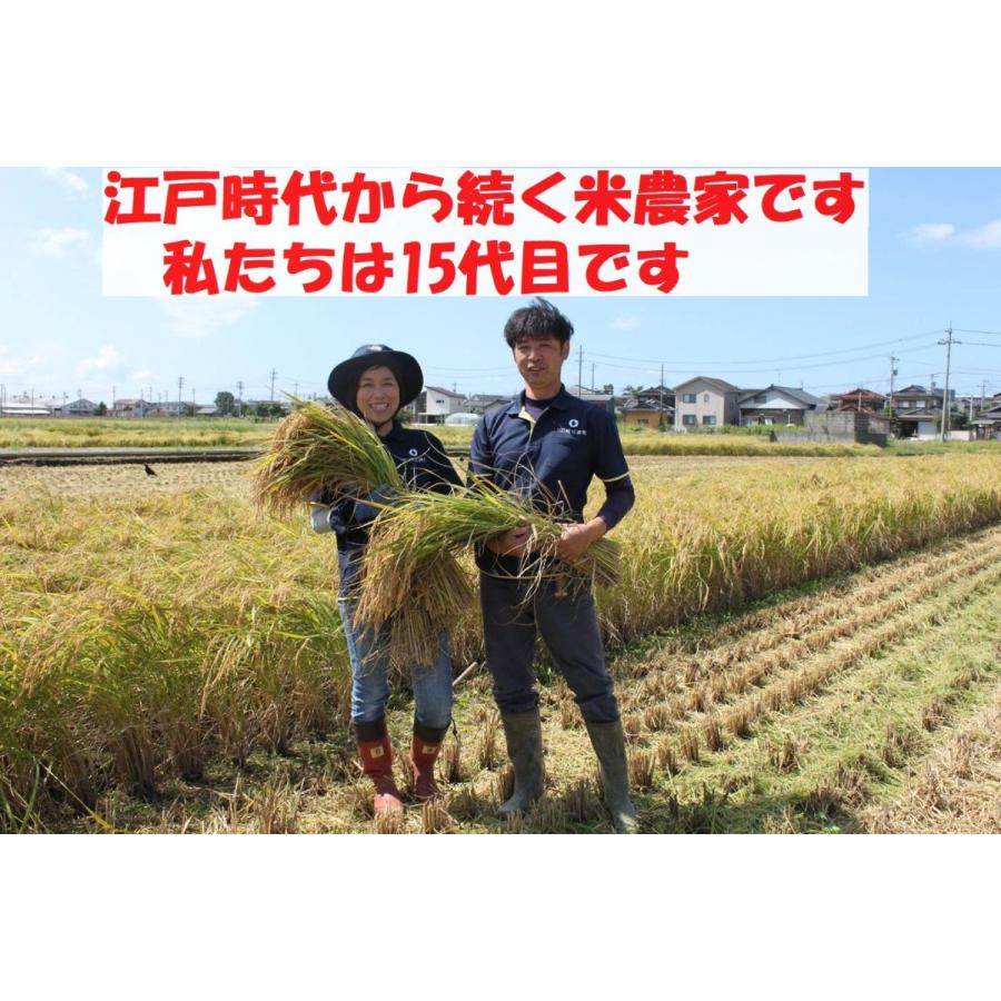 令和6年産 コシヒカリ お米 10kg×2袋 玄米 精白米 選べる 一等 令和6年産 コシヒカリ お米 10kg×2袋 玄米 精白米 選べる 一等
