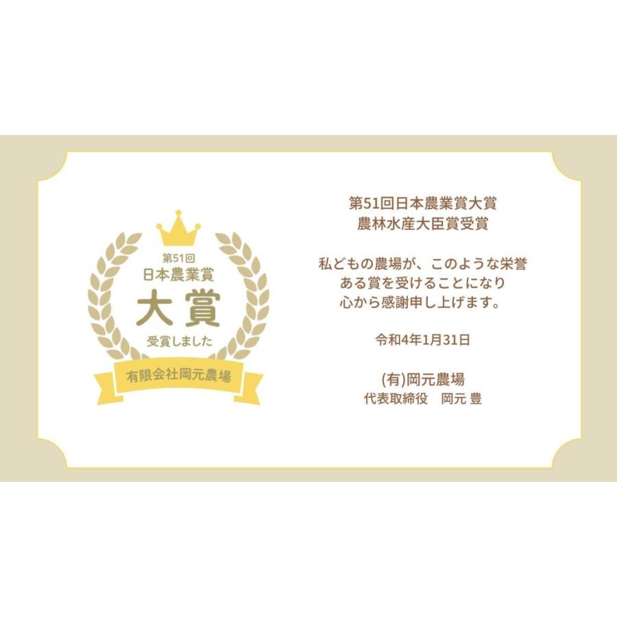 令和6年産 コシヒカリ お米 10kg×2袋 玄米 精白米 選べる 一等 令和6年産 コシヒカリ お米 10kg×2袋 玄米 精白米 選べる 一等