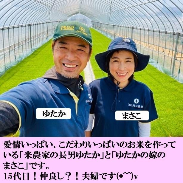 令和５年産　コシヒカリ　お米　3kg　玄米精白米選べる　コシヒカリ　一等米　石川県産　生産農家　農家直送米　送料込み｜okamotonojostore｜02