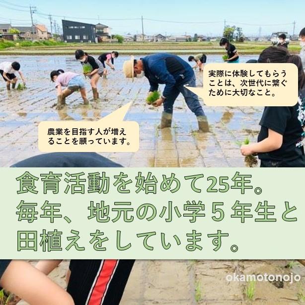 令和５年産　コシヒカリ　お米　3kg　玄米精白米選べる　コシヒカリ　一等米　石川県産　生産農家　農家直送米　送料込み｜okamotonojostore｜04