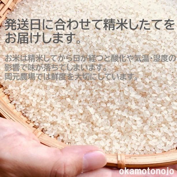 令和５年産　コシヒカリ　お米　3kg　玄米精白米選べる　コシヒカリ　一等米　石川県産　生産農家　農家直送米　送料込み｜okamotonojostore｜09