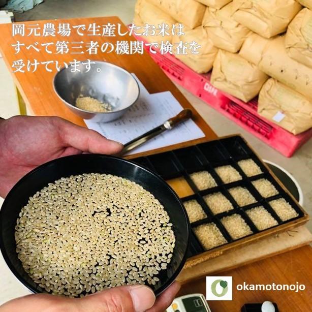 令和５年産　コシヒカリ　お米　5kg　玄米精白米選べる　一等米　石川県産　生産農家　農家直送米　送料込み｜okamotonojostore｜14