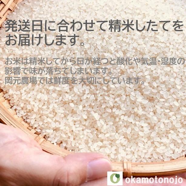 令和５年産　コシヒカリ　お米　5kg　玄米精白米選べる　一等米　石川県産　生産農家　農家直送米　送料込み｜okamotonojostore｜16