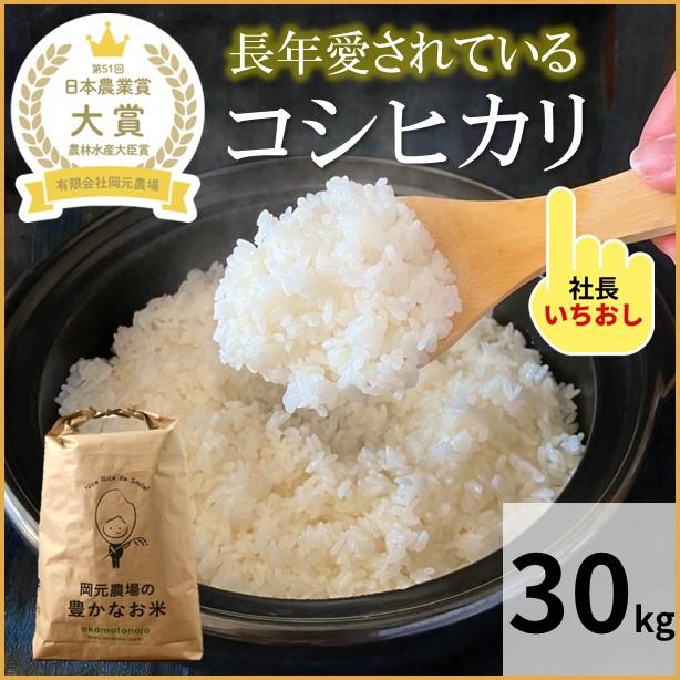 令和５年産 コシヒカリ 30kg 玄米精白米選べる １袋 一等米 石川県産 