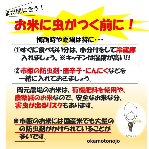 令和6年産 ゆめみづほ お米 一等米 30kg 玄米 精白米 選べる 令和6年産 ゆめみづほ お米 一等米 30kg 玄米 精白米 選べる