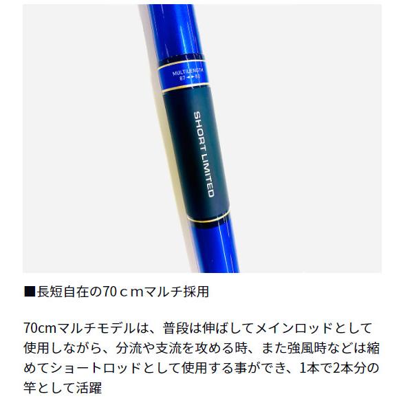 DAIWA(釣り) ダイワ 銀影エア ショートリミテッド T77M : 岡野 DAIWA(釣り) ダイワ 銀影エア ショートリミテッド T77M : 岡野