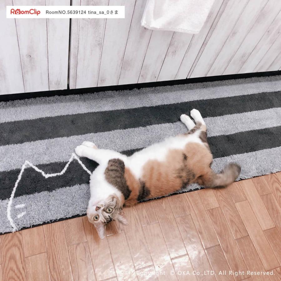 キッチンマット 45×180cm うちねこ ( ネコ 猫 廊下敷き ロングマット 洗える 洗濯可 洗える マット おしゃれ ボーダー キッチン 台所 洗面所 ) オカ :uchinekokm180:業務用品通販 オカプロ - 通販 - Yahoo!ショッピング キッチンマット 45×180cm うちねこ ( ネコ 猫 廊下敷き ロングマット 洗える 洗濯可 洗える マット おしゃれ ボーダー キッチン 台所 洗面所 ) オカ :uchinekokm180:業務用品通販 オカプロ - 通販 - Yahoo!ショッピング
