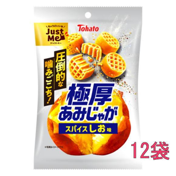 東ハト 極厚あみじゃが スパイスしお味45g×12袋（期間限定商品