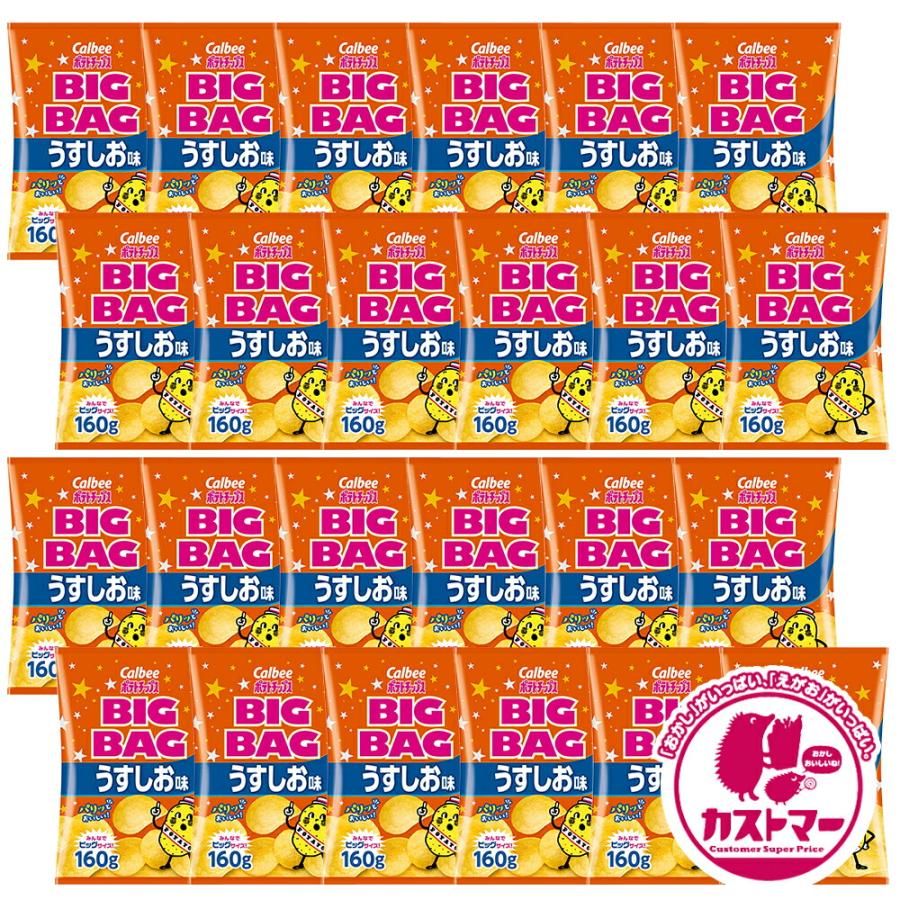 カルビー ポテトチップス 業務用 ビッグバッグ うすしお味 160g × 24袋