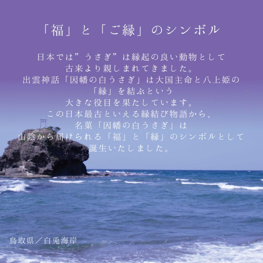 手土産 2026 御挨拶 因幡の白うさぎ 20個入 寿製菓 プレゼント お菓子 ギフト お取り寄せ おまんじゅう 山陰 50代 60代 70代 ありがとう 神在月 | 寿製菓 | 05