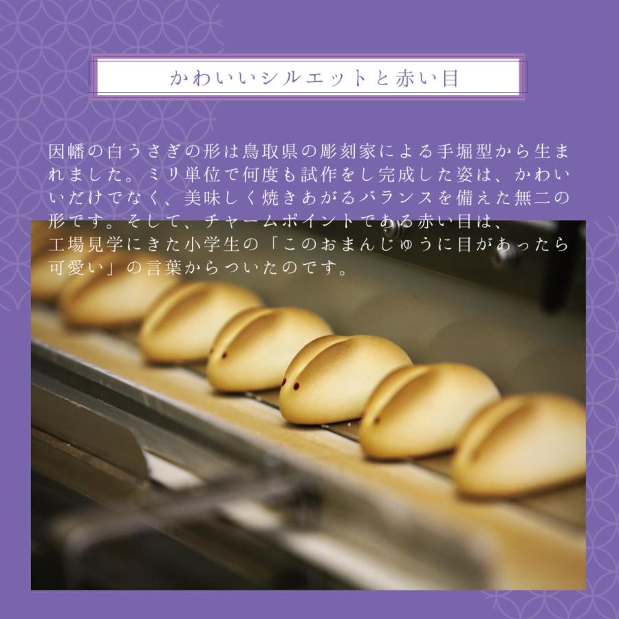 手土産 2026 御挨拶 因幡の白うさぎ 20個入 寿製菓 プレゼント お菓子 ギフト お取り寄せ おまんじゅう 山陰 50代 60代 70代 ありがとう 神在月 | 寿製菓 | 08