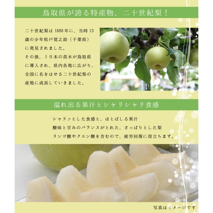 梨かごゼリーギフト 2026  6個入 ゼリー ギフト 果物 水菓子 プレゼント お菓子 鳥取二十世紀梨ゼリー 手土産 感動です 梨カゴ 寿製菓 御礼 御祝 御中元 | 寿製菓 | 03