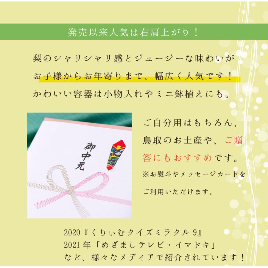 梨かごゼリーギフト 2026  6個入 ゼリー ギフト 果物 水菓子 プレゼント お菓子 鳥取二十世紀梨ゼリー 手土産 感動です 梨カゴ 寿製菓 御礼 御祝 御中元 | 寿製菓 | 05