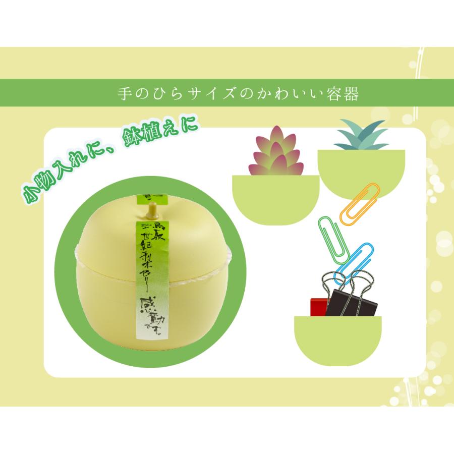 梨かごゼリーギフト 2026  6個入 ゼリー ギフト 果物 水菓子 プレゼント お菓子 鳥取二十世紀梨ゼリー 手土産 感動です 梨カゴ 寿製菓 御礼 御祝 御中元 | 寿製菓 | 06
