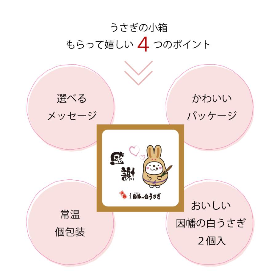 ウサギ（感謝） 寿製菓 プチギフト 2個入 お世話になりました 退職 感謝 縁を