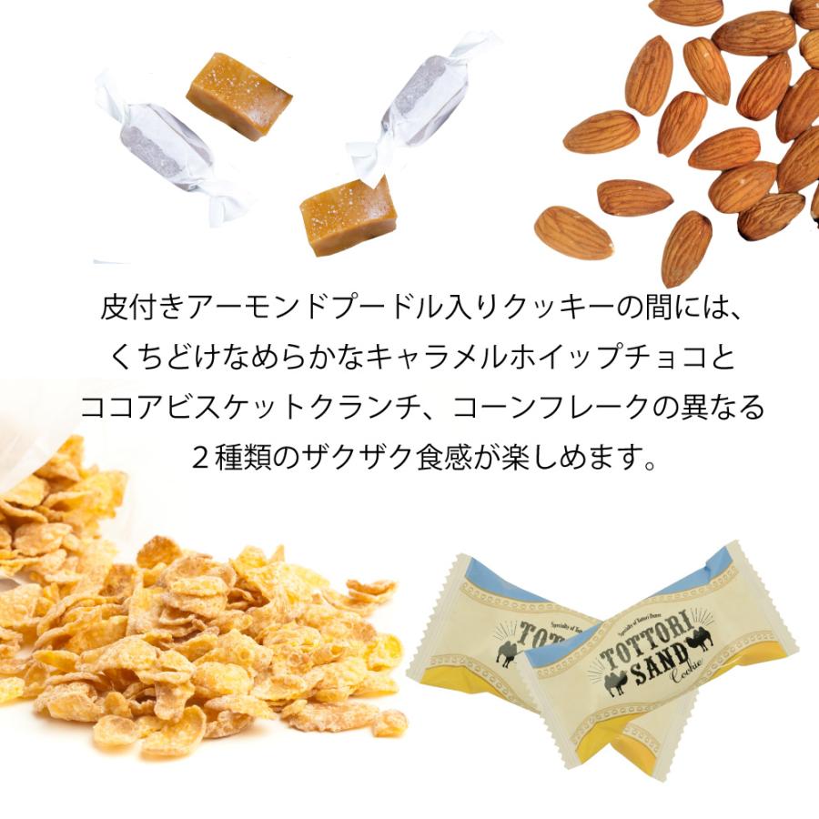 バレンタイン 2026 年始 鳥取砂丘 ギフト 鳥取サンドクッキー 6ヶ入 寿製菓 鳥取 お土産 手土産 贈り物 プレゼント 鳥取砂丘 キャラメル ホワイトデー | 寿製菓 | 01