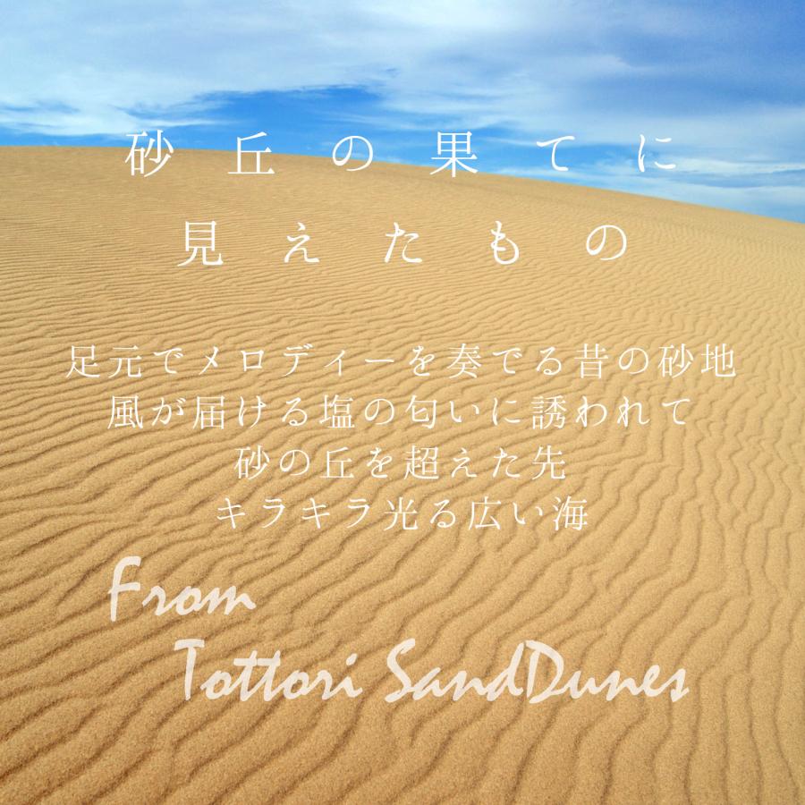 バレンタイン 2026 年始 鳥取砂丘 ギフト 鳥取サンドクッキー 6ヶ入 寿製菓 鳥取 お土産 手土産 贈り物 プレゼント 鳥取砂丘 キャラメル ホワイトデー | 寿製菓 | 07