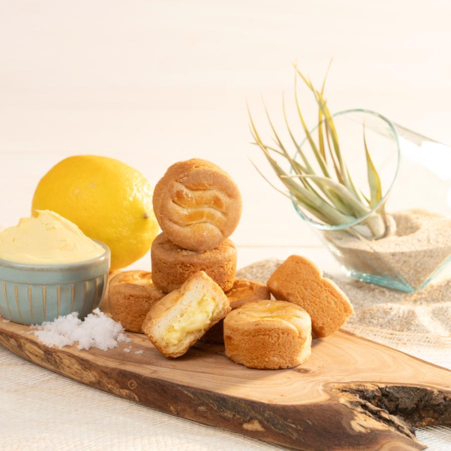 寿製菓 焼き菓子 ガレット 2025 3個入 鳥取砂丘 お土産 御礼 手