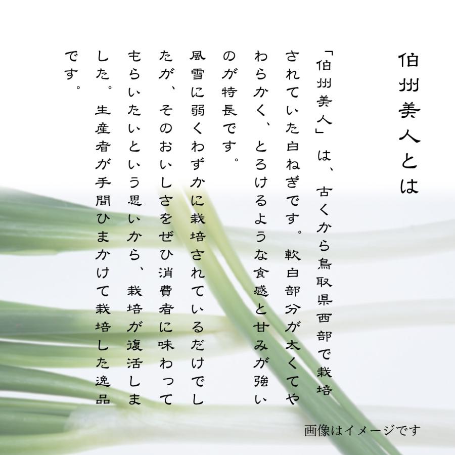 ねぎ煎餅 16枚入 お菓子の壽城（ことぶきじょう） 天ぷら煎餅 寿製菓 山陰 鳥取 島根 お土産 贈り物 ギフト プレゼント 手土産 | お菓子の壽城 | 04