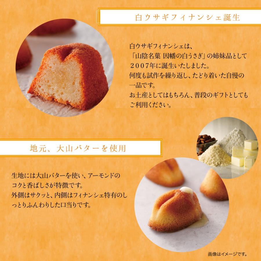 寿製菓 御年賀 2026 年始 白ウサギフィナンシェ 16個 ギフト 御供