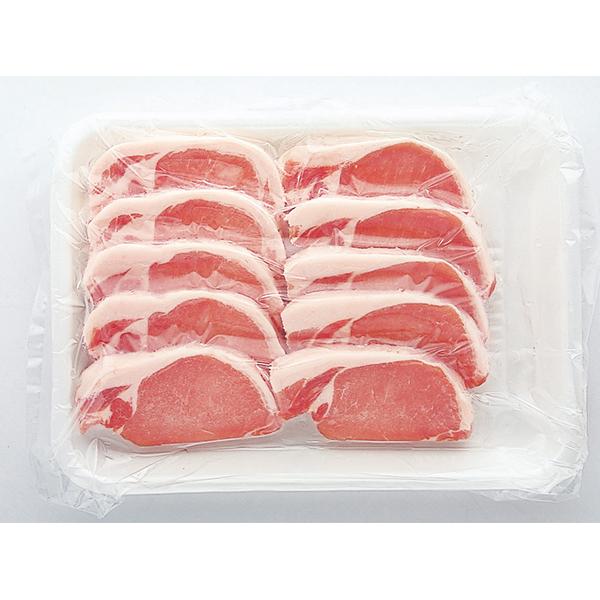 格安人気 地域限定送料無料 業務用 お店のための 豚ロースポーション 冷凍 100g 10枚 業務用 1ケース 10入 計100枚 冷凍 ck 海外正規品 Www Thedailyspud Com
