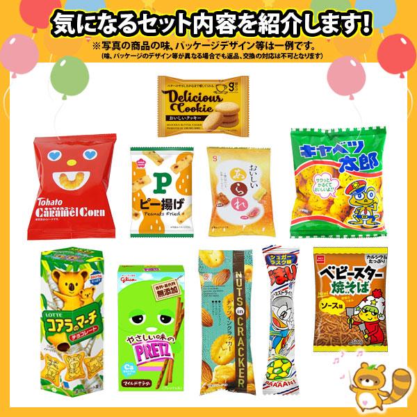 お菓子 詰め合わせ スナック菓子詰め合わせ(10種・計66コ入