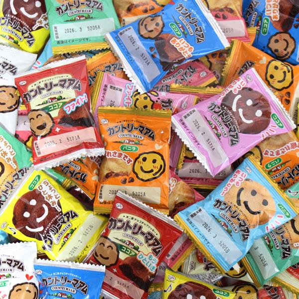 お菓子詰め合わせ 不二家 カントリーマアム 詰め合わせ 1枚入 2種・計
