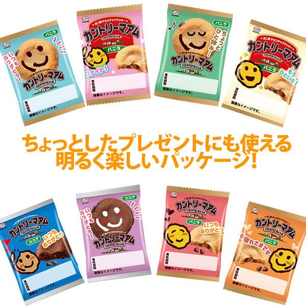お菓子詰め合わせ 不二家 カントリーマアム 詰め合わせ 1枚入 2種・計