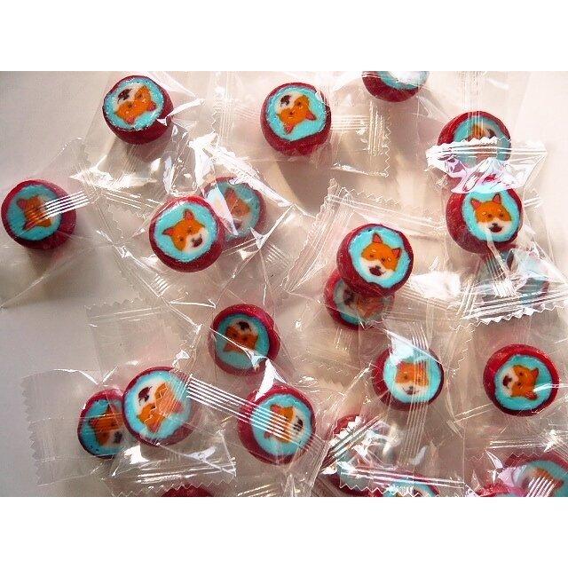 柴犬飴 250個入 1袋 個包装 柴犬キャンディー グッズ プレゼント 贈り物 犬 ドッグ ギフト かわいい 信州上田のおかしやさんヤフー店 通販 Yahoo ショッピング