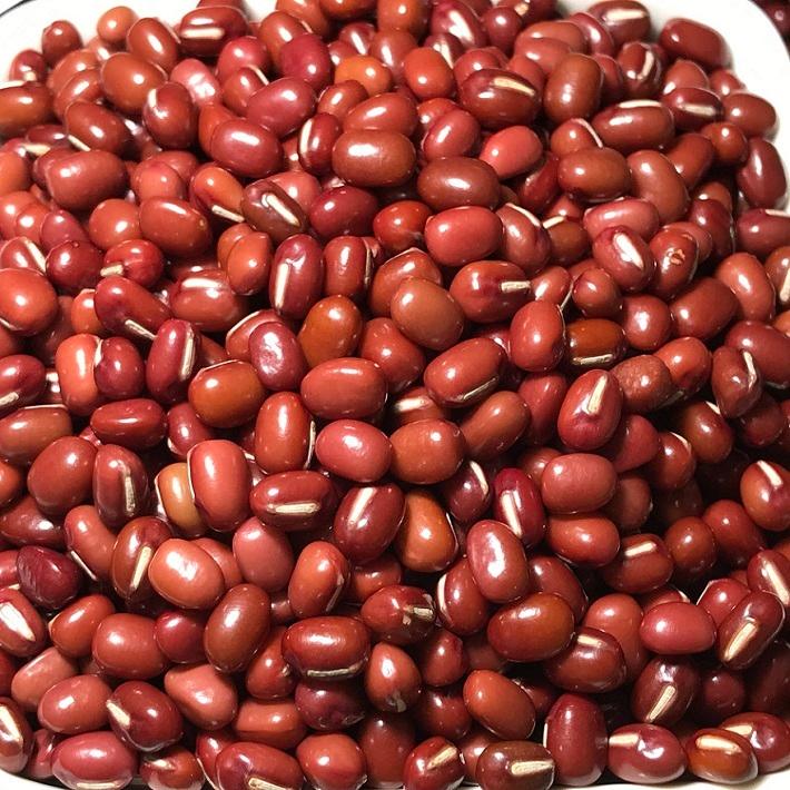 北海道産小豆 800g 送料無料 | 