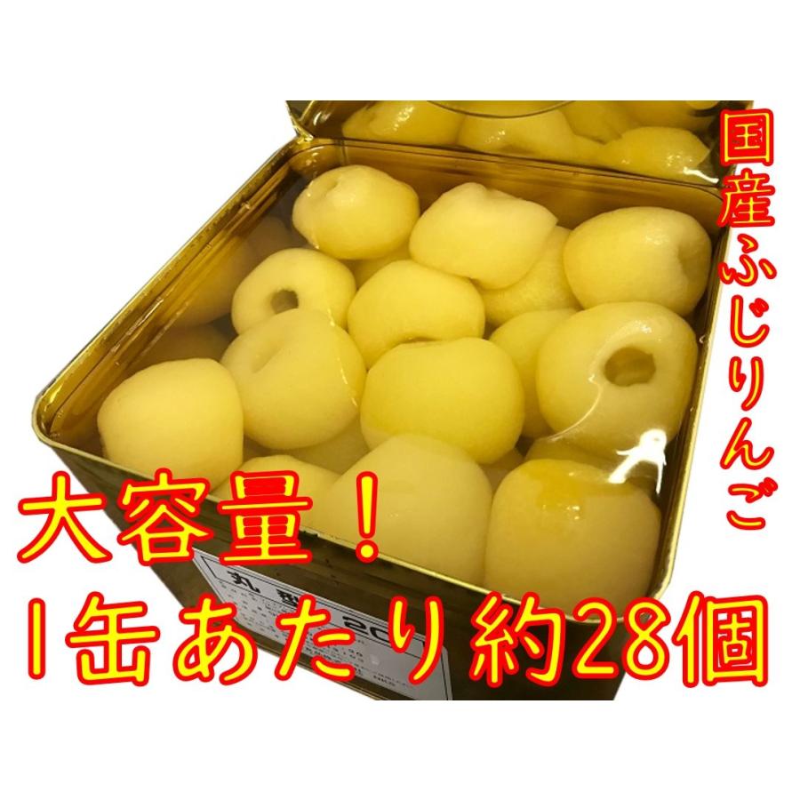 りんごシロップ漬け 9kg 丸型 国産 ふじりんご使用 業務用 リンゴ