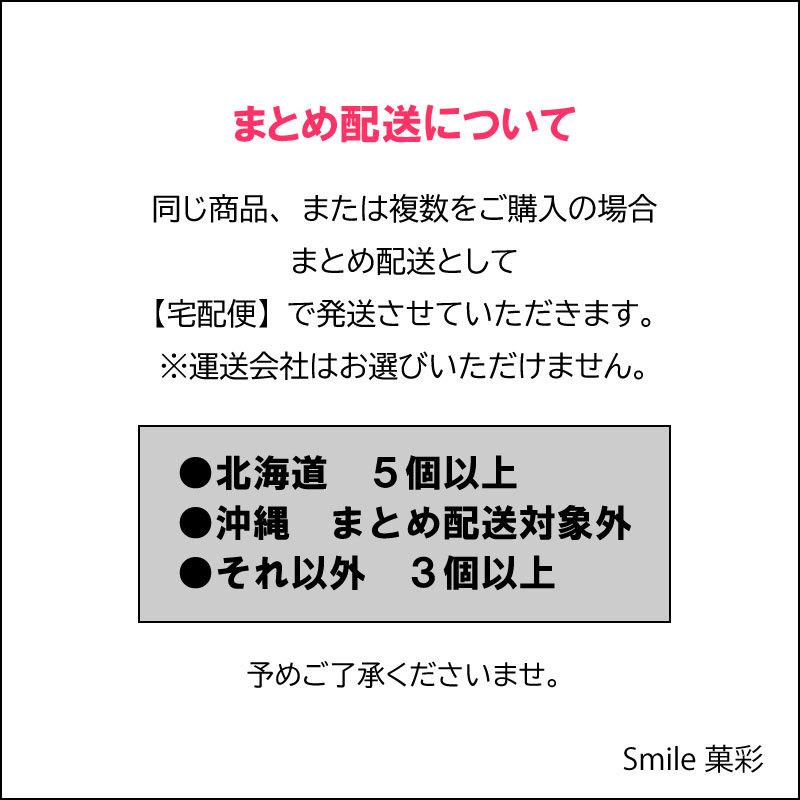 そのまんまガム＆すっぱいガム 各4個 選べる よりどり （20個セット