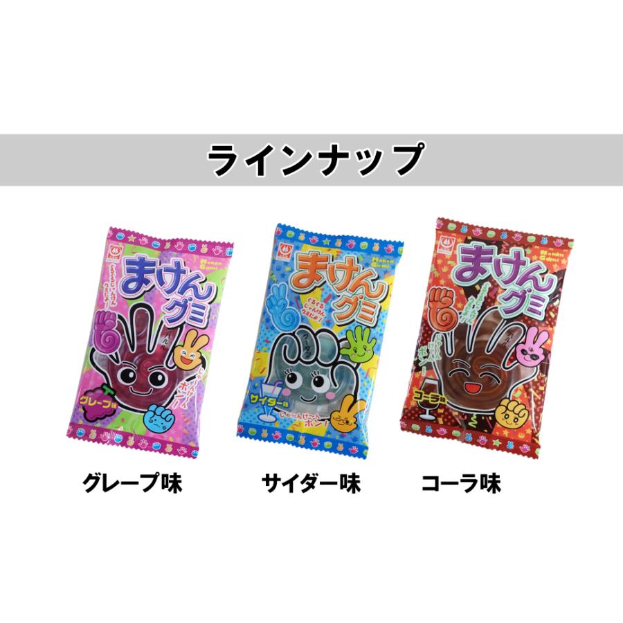 人気グミキャンディー 詰め合わせセット（22個） 杉本屋 まけんグミ