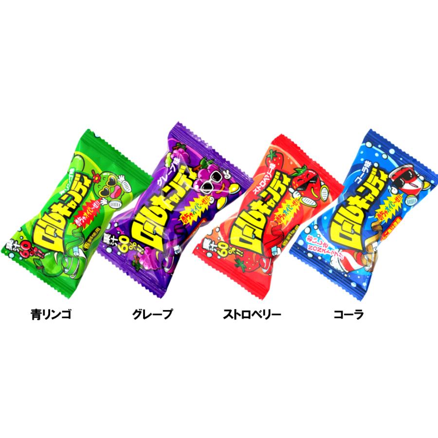 人気グミキャンディー 詰め合わせセット（22個） 杉本屋 まけんグミ