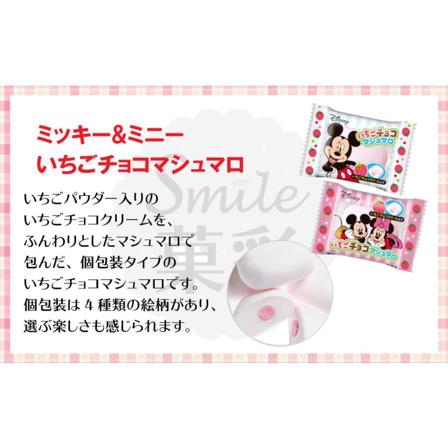 エイワ チョコマシュマロ＆いちごチョコマシュマロ 60個 （2種類×各30