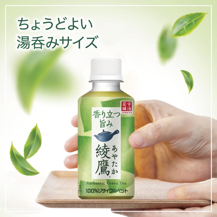 綾*鷹様 2025実生苗セットc 4センチポット 綾鷹 ○10/19は条件達成で最大P31％+クーポン配布○ お茶 ペット