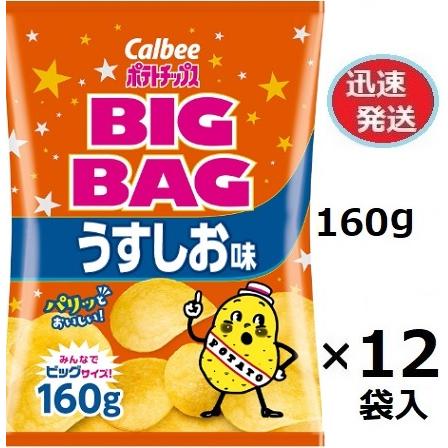 う*中様 ポテトチップス Calbee BIGBAG 湖池屋 パーティーサイズ カルビー（Calbee） ポテトチップスBIGBAGうすしお 160g×12袋入