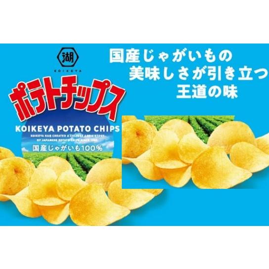 湖池屋（コイケヤ） ポテトチップスじゃがいもと塩 55g×12袋入 ポテト