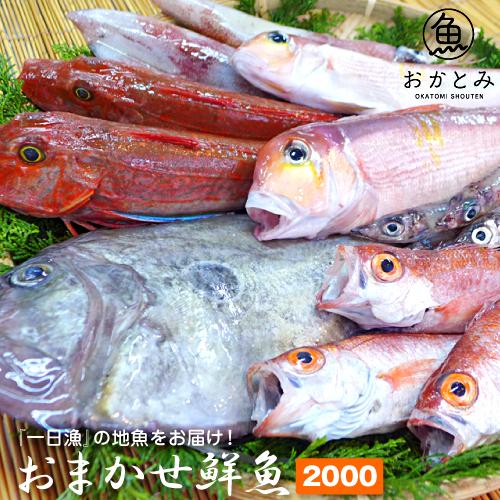 鮮魚 直送 おまかせ鮮魚 2 000円 秋の地魚鮮魚 鮮魚セット 鮮魚ボックス 詰め合わせ 鮮魚取り寄せ 国産 島根産 大田産 一日漁 下処理 山陰沖 あじ イカ 山陰とれたて日本海おかとみ 通販 Yahoo ショッピング