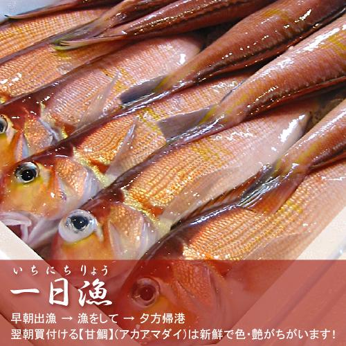 甘鯛 干物 無添加 天日塩 一日漁 甘鯛一夜干し 1尾 350 400g アマダイ ぐじ 旬 国産 島根産 敬老の日 ギフト 誕生日 プレゼント お祝い お取り寄せグルメ 山陰とれたて日本海おかとみ 通販 Yahoo ショッピング