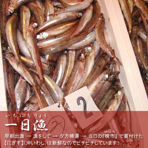 干きす 3 5尾 100g ニギス 沖いわし 国産 島根産 大田産 山陰沖 日本海 おつまみ 一夜干し 干物 ひもの 無添加 メザシ 小魚 カルシウム 朝食 酒 山陰とれたて日本海おかとみ 通販 Yahoo ショッピング