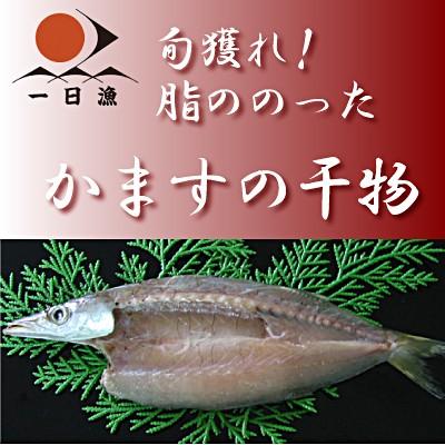 干物 無添加 天日塩 かますの干物 特大 1尾 140g以上 アカカマス 本カマス カマス ひもの 一夜干し 国産 島根産 大田市産 日本海 山陰 お取り寄せ 産地直送 山陰とれたて日本海おかとみ 通販 Yahoo ショッピング