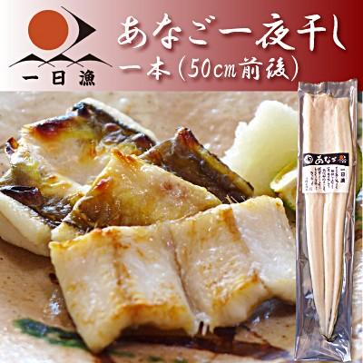 穴子 お歳暮 ギフト 無添加 あなご一夜干し 大 250 300g 天女の羽衣 穴子一夜干し アナゴ 白焼き 天日塩 ひもの 開き 国産 島根産 天然 お取り寄せグルメ 山陰とれたて日本海おかとみ 通販 Yahoo ショッピング