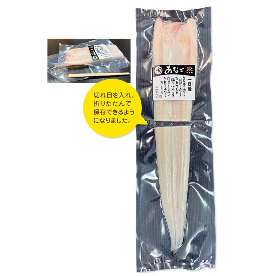 穴子 信託 父の日 ギフト 無添加 あなご一夜干し 小 1本 150 0g 天女の羽衣 アナゴ ひもの 大田産 干物 国産 天日塩 プレゼント 開き 真アナゴ 誕生日 島根産